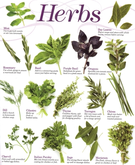 Herbs Chart